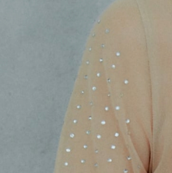 Nwt! Zara Rhinestone Tulle Shirt - Picture 3 of 3